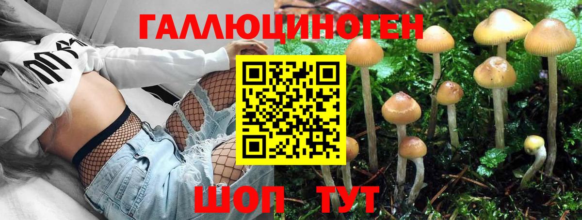 Барабинск  Псилоцибиновые грибы Magic Shrooms  Вход с VPN  Псилоцибиновые грибы мухоморы 