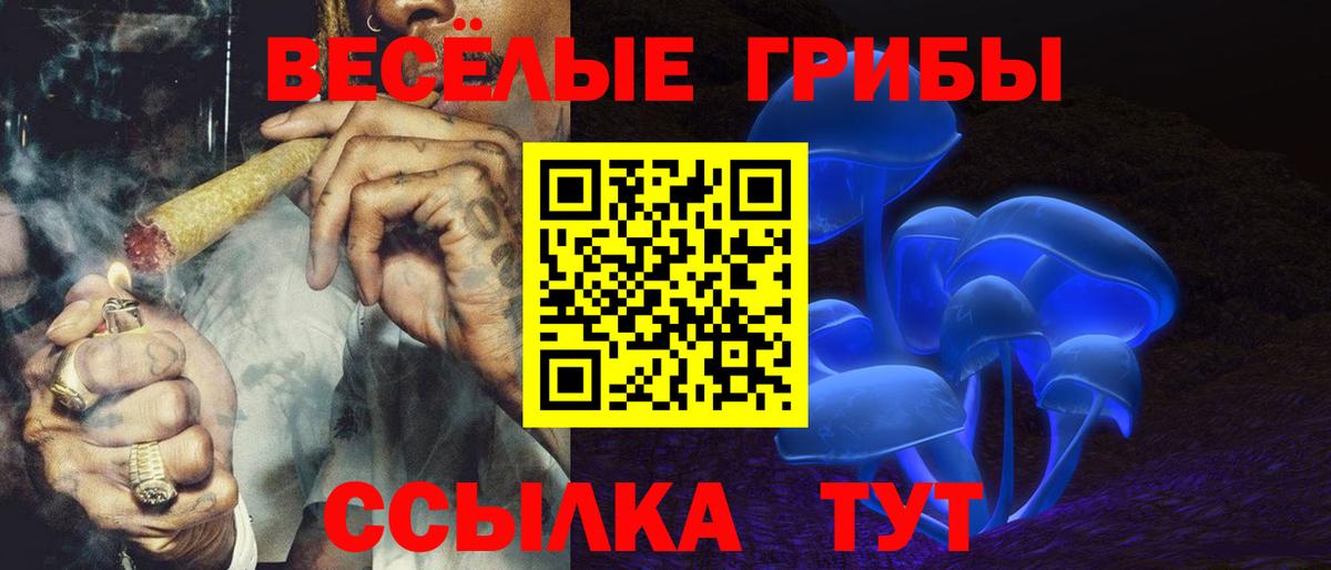 Галлюциногенные грибы Cubensis Барабинск